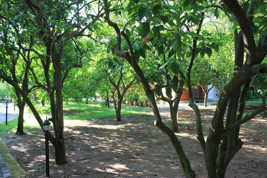 Yildiz Pension Bungalows Çıralı Luaran gambar