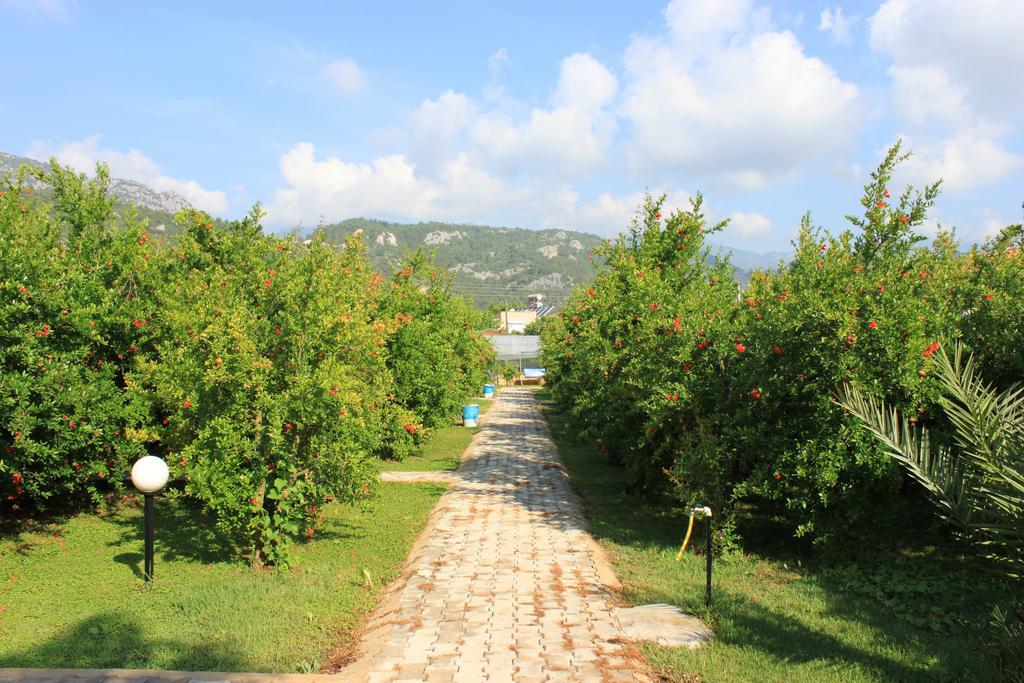 Yildiz Pension Bungalows Çıralı Luaran gambar