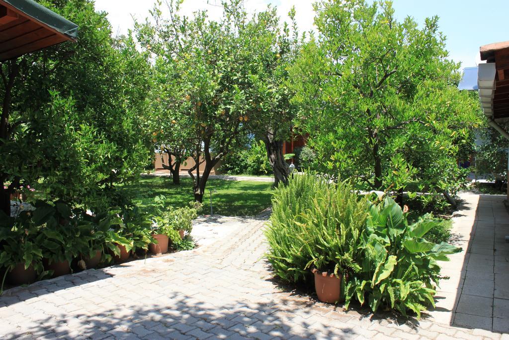 Yildiz Pension Bungalows Çıralı Luaran gambar