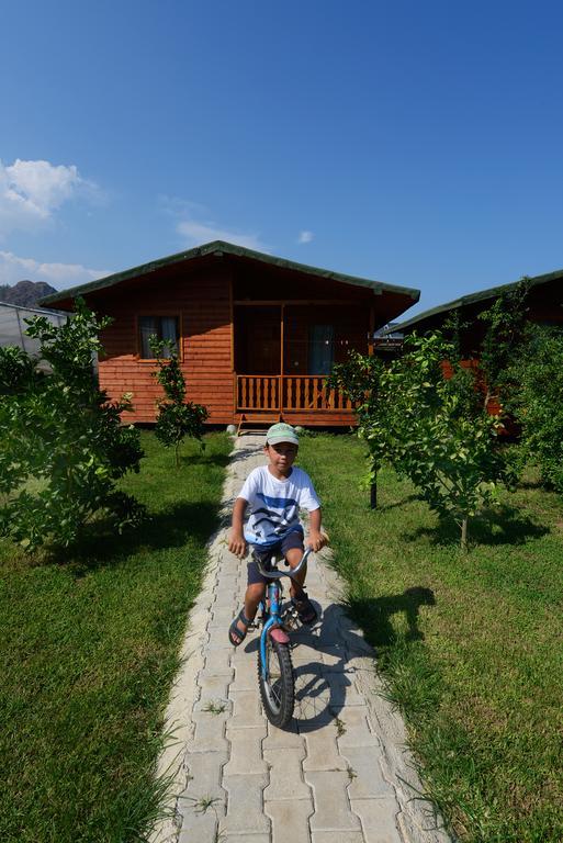 Yildiz Pension Bungalows Çıralı Bilik gambar