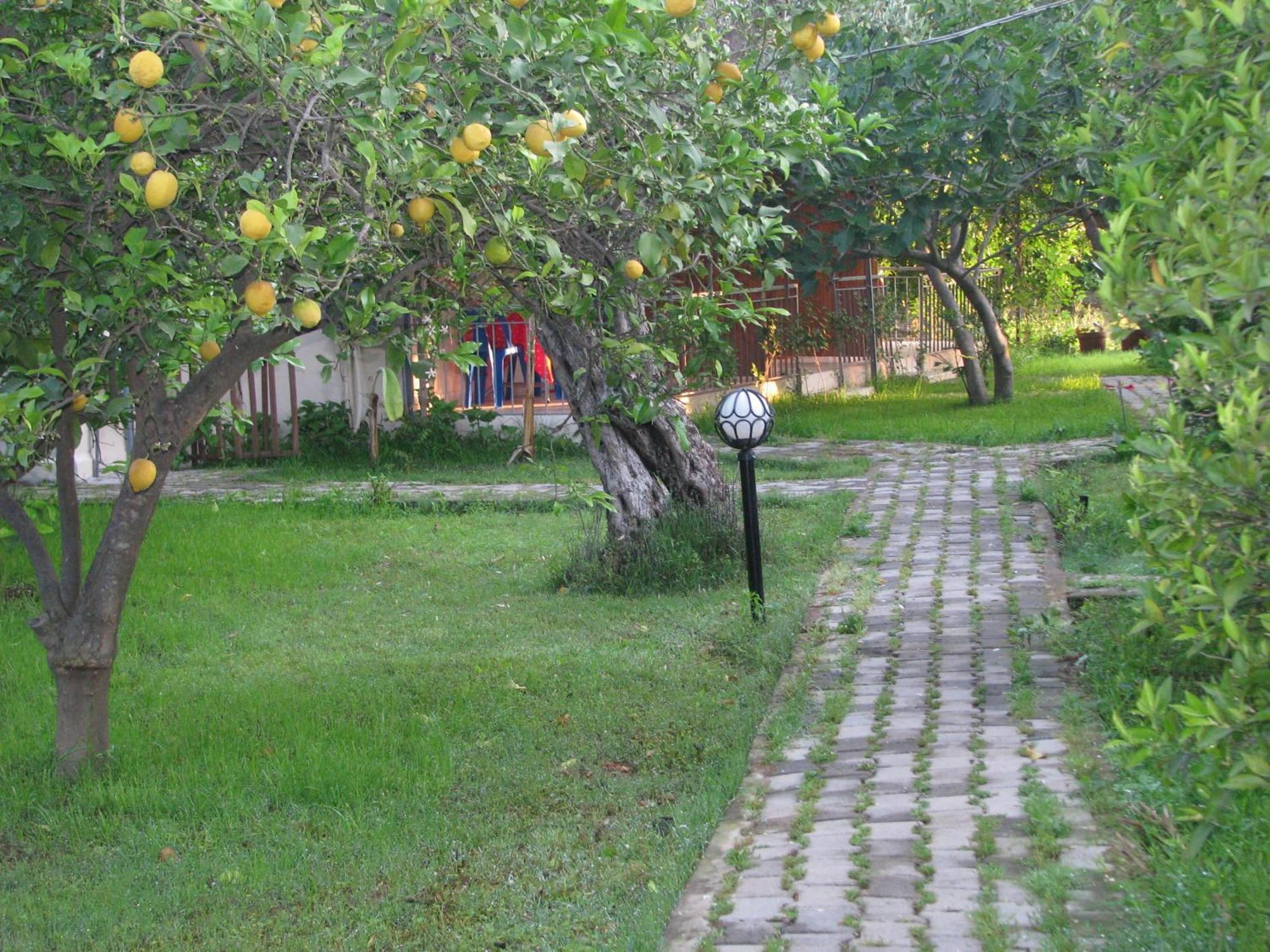 Yildiz Pension Bungalows Çıralı Luaran gambar