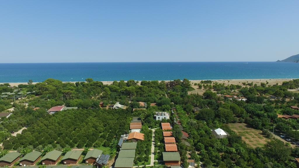 Yildiz Pension Bungalows Çıralı Luaran gambar