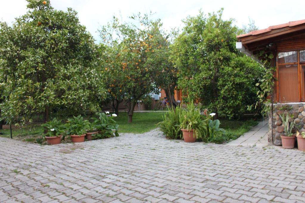 Yildiz Pension Bungalows Çıralı Luaran gambar